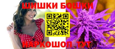 индика Братск