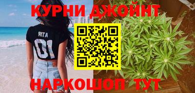 прущие грибы Бердск