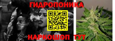 прущие грибы Бердск