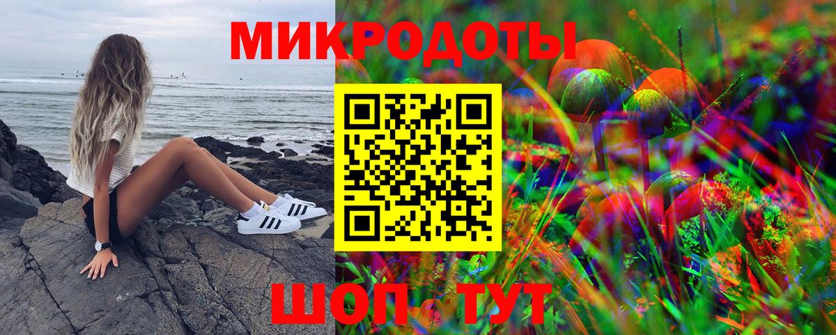 Псилоцибиновые грибы мицелий Кудрово