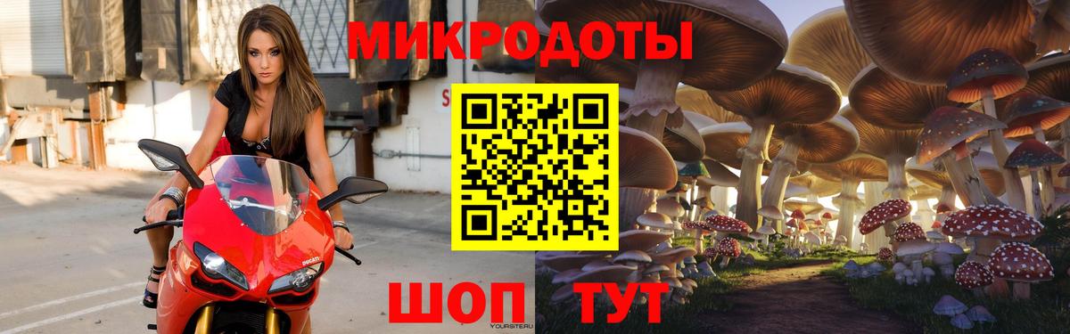 Кудрово  Псилоцибиновые грибы Cubensis  Вход с VPN 
